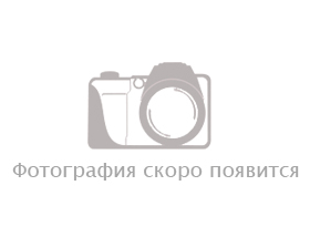 09 этаж - 1100 м<sup>2</sup>